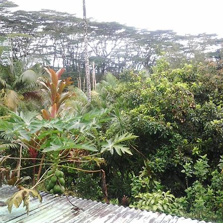 Lava Tree Tropic Inn Pahoa Экстерьер фото
