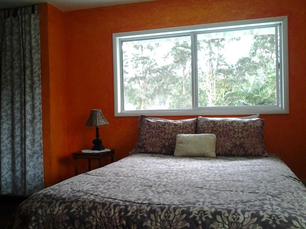 Lava Tree Tropic Inn Pahoa Номер фото