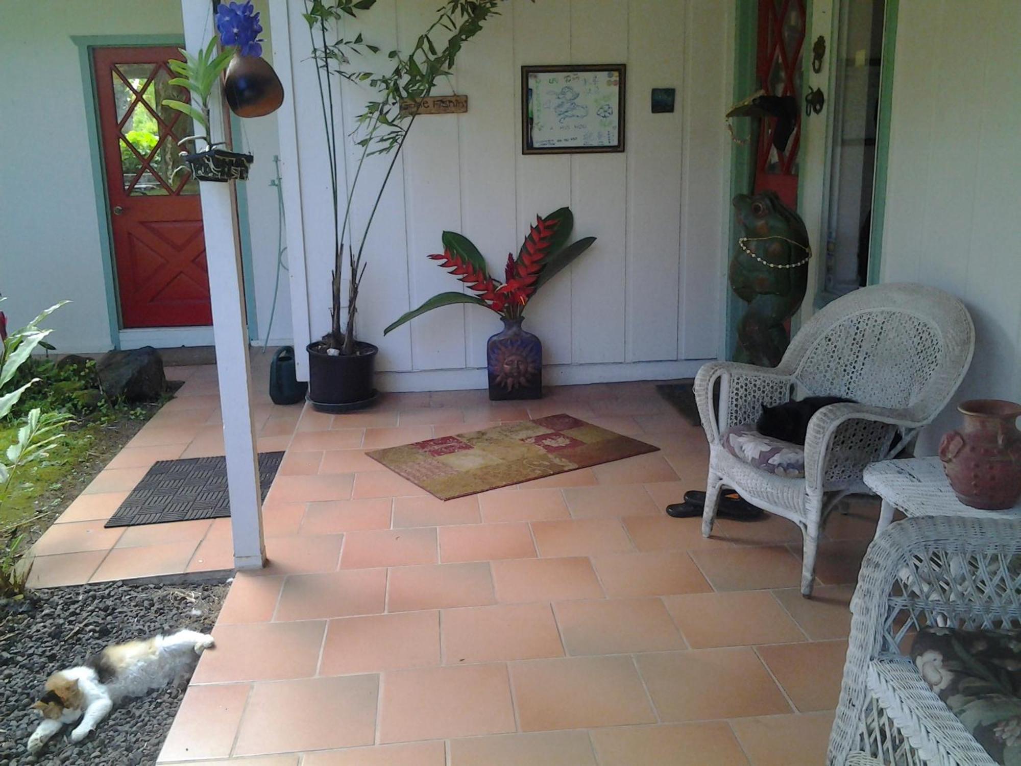 Lava Tree Tropic Inn Pahoa Экстерьер фото