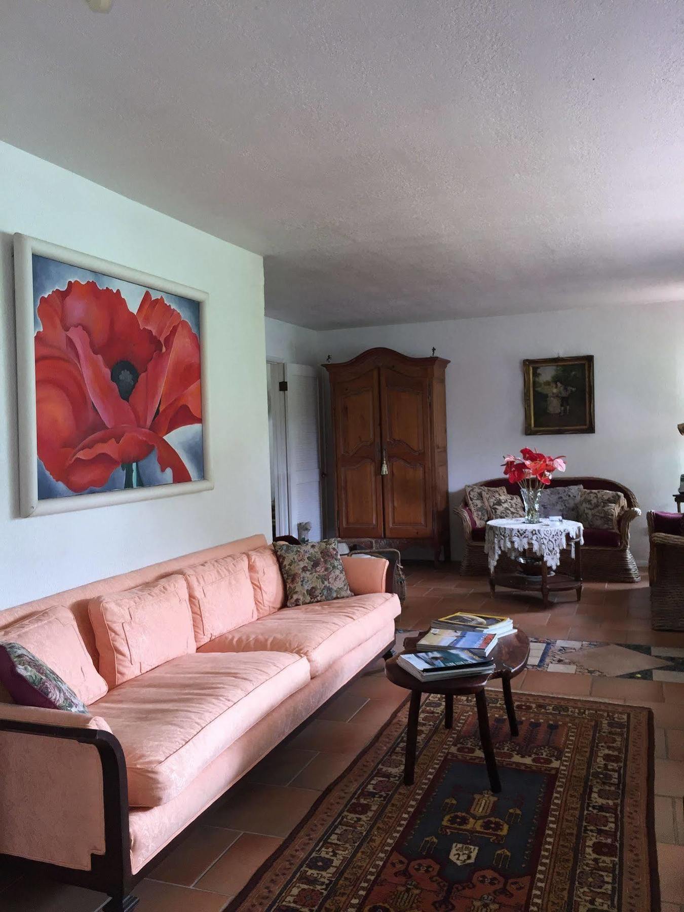 Lava Tree Tropic Inn Pahoa Экстерьер фото